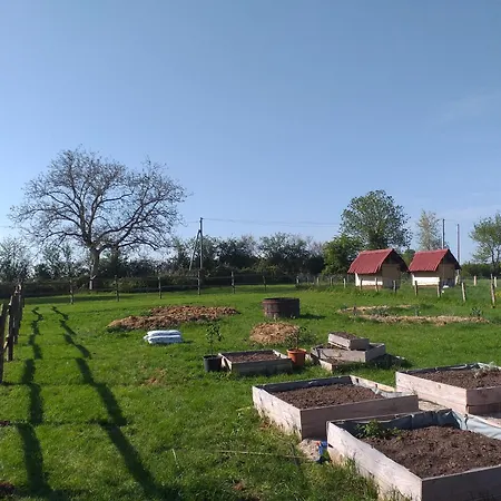 Domaine Medieval De La Motte